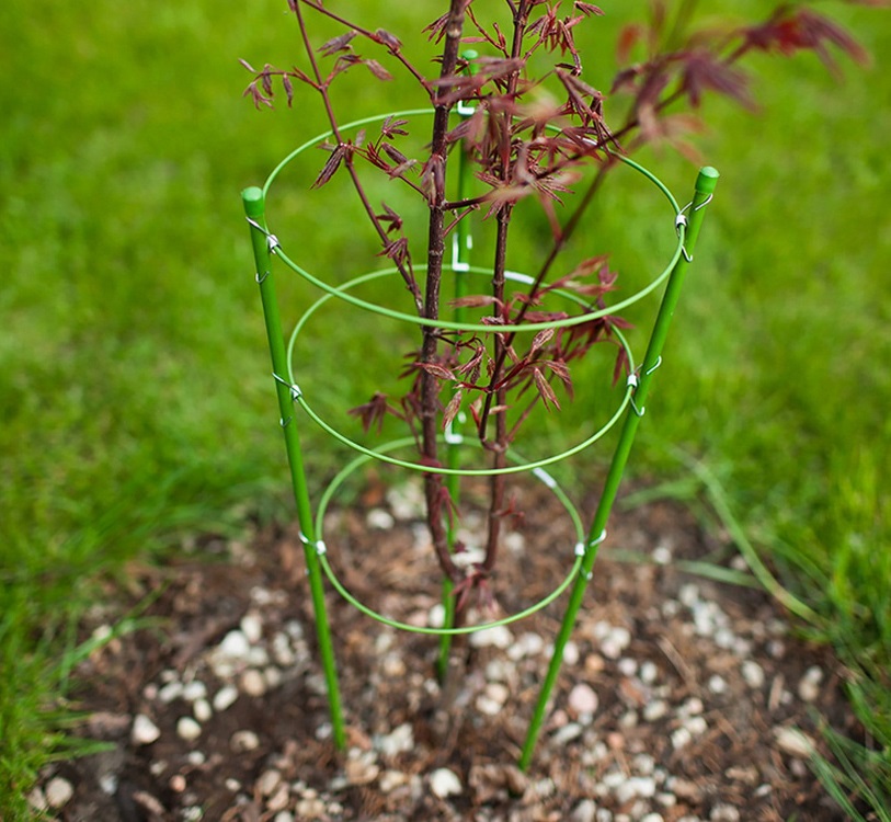 účinná kruhová podpera rastlín pre lepší rast